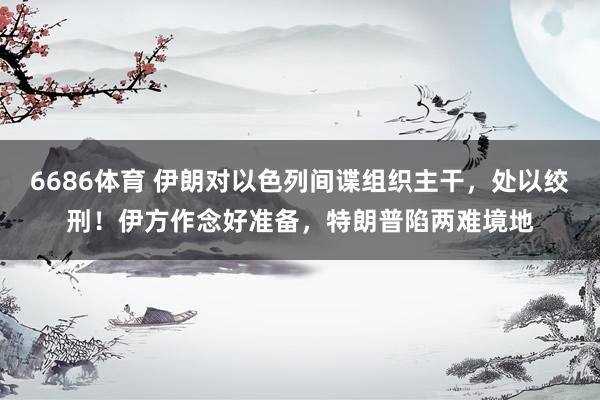 6686体育 伊朗对以色列间谍组织主干，处以绞刑！伊方作念好准备，特朗普陷两难境地