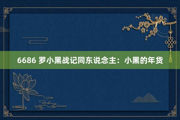 6686 罗小黑战记同东说念主：小黑的年货