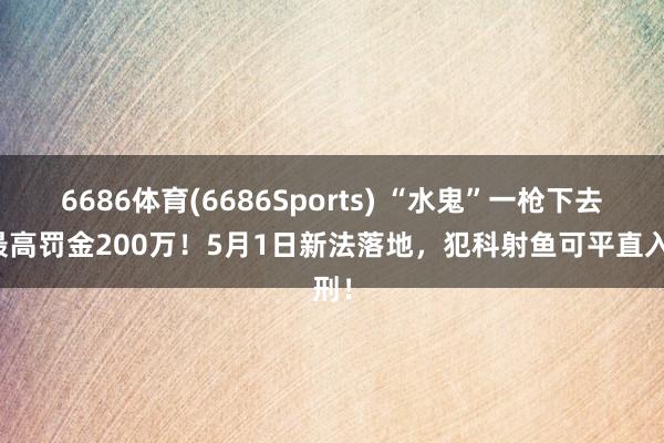 6686体育(6686Sports) “水鬼”一枪下去，最高罚金200万！5月1日新法落地，犯科射鱼可平直入刑！