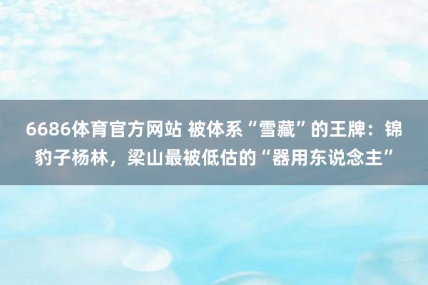 6686体育官方网站 被体系“雪藏”的王牌：锦豹子杨林，梁山最被低估的“器用东说念主”