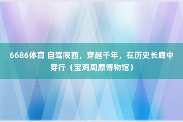 6686体育 自驾陕西，穿越千年，在历史长廊中穿行（宝鸡周原博物馆）