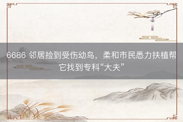 6686 邻居捡到受伤幼鸟，柔和市民悉力扶植帮它找到专科“大夫”